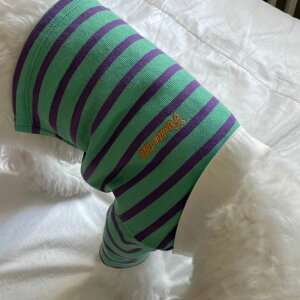 \̔yFREDDIE TALEzPetit striped rugby shirtiGreenj  hbOEFA ̕ ^ ^ pi hbOObY TVc X[uX ؍ t