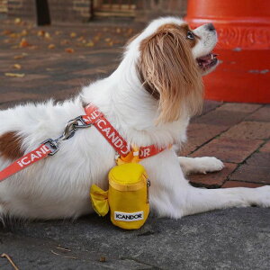 \̔yiCANDORzNo-Pull HarnessiSIGNATUREj pi hbOObY hbOEFA  ̕ n[lX hbOn[lX n[lX pn[lX ؍ Upi