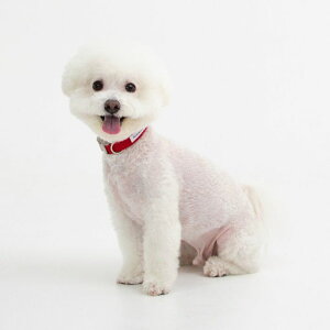 \̔yforeverybarizClassic Pet CollariHot Redj pi hbOObY  ̎ hbOJ[  p ؍ v S