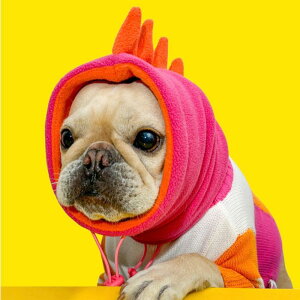 \̔yTOOFzDINO SNOODiPINK/ORANGEj pi hbOObY ؍ ~ ~ h hbOEFA  ̕ ^ ^