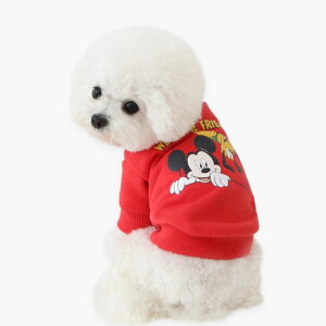 [yITS DOGzDisney peekaboo coton t-shirt(Red)  hbOEFA ̕ TVc ؍ pi hbOObY t t ^