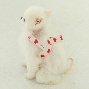 [yOUNCEzheart bongbong harnessiIvoryj pi hbOObY n[lX ̃n[lX hbOn[lX n[lX^ n[lX pn[lX [h ̃[h