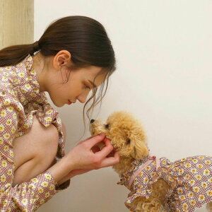 [yMOI ET LE CHIENzt[{s[XiAUAj ؍ uh 킢  v[g ^ NR[f s[X hX NEW ̕ t  H 