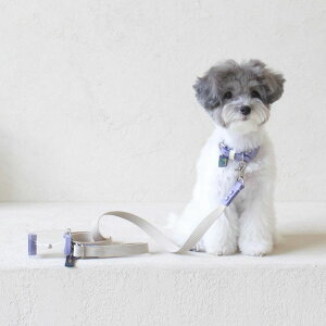 ���[�ymaison de miu�zPet Color 4Way Lead (Ivory / Violet) ���p�i �h�b�O�O�b�Y ���[�h �U�����[�h ���̃��[�h ���p���[�h �����j ��[�� �����[�h �U���p�i