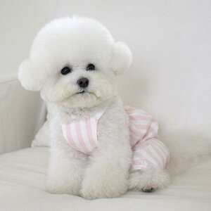 \̔ynear by uszsherbet romper (pink) ؍ uh 킢  v[g ^ s[X NEW t  H 