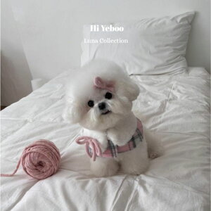 ���[�yHi Yeboo�zLuna Fur Cape�iPink�j ���p�i �h�b�O�O�b�Y �h�b�O�E�F�A ���� ���̕� �P�[�v ���^�� ���^���� �H �~