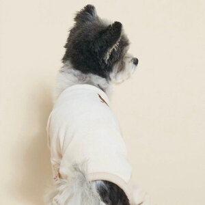 \̔ymeaninglesszGOSOMI ALL IN ONEiBeigej ؍ uh 킢  v[g ^ NEW t H ~