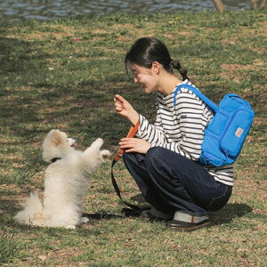 [yBITE MEzComfy Ravioli - Downtown bagiCity Bluej ؍ pi hbOObY obO pobO hbOobO ̃obO L[obO XOobO y