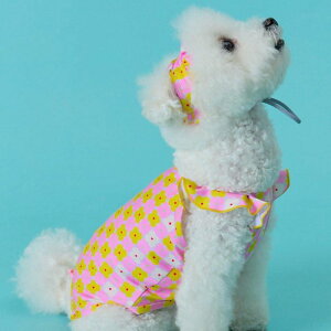 \̔ymunikundzMUNIKUND × POSITIVE PENGUIN Swim weariBaby Flowerj  hbOEFA ̕ p ^ ^ ^ ^ pi hbOObY