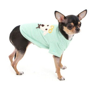 [yITS DOGzcutie dog T-shirt ؍ uh 킢  v[g ^ LN^[ NEW t  H 