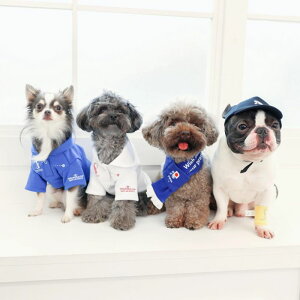 [yFIFA WORLD CUP QATAR 2022_zFIFA dog cap p Lbv Xq  TbJ[ {\ { Wp JAPAN TCWp  JAPAN ItBVCZX   ̊ ObY 