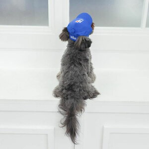 [yFIFA WORLD CUP QATAR 2022_zFIFA dog cap p Lbv Xq  TbJ[ {\ { Wp JAPAN TCWp  JAPAN ItBVCZX   ̊ ObY 