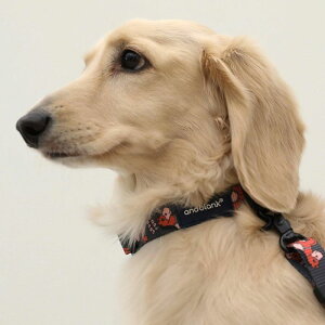 \̔yandblankzCoco pony collar ؍ pi hbOObY  ̎ hbOJ[  p n[lX ̃n[lX hbOn[lX