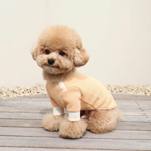 [yChiotzSherbet waffle T-shirtiOrangej  hbOEFA ̕ ^ ^ TVc X[uX t  H