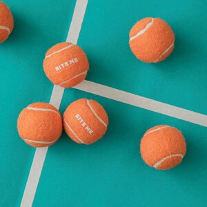 [yBITE MEzMini Tennis Ball Toy 3 pieces ؍ uh 킢  v[g ^  pi NEW v  ybgpi