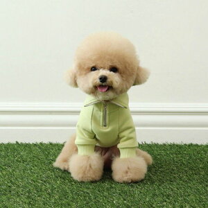 [yChiotzLogo Zip-up Sweat shirtiO[Abvj ؍ uh 킢  v[g ^ NEW t  H ~ 