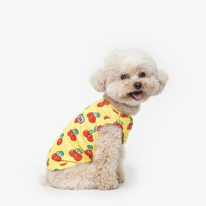 [yTUSTUSzCool Sleeveicherryj  hbOEFA ̕ X[uX pi hbOObY ؍ ^ ^ ^