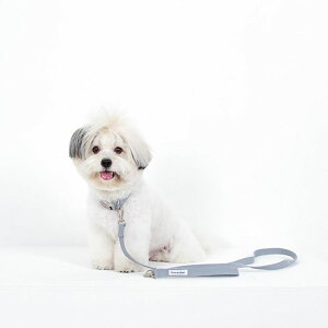 \̔yforeverybarizClassic Pet LeashiIce Grayj [h p[h ̃[h U[h j pi hbOObY ؍ v y