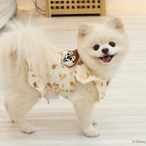 \̔yITS DOGzDisney Organic Chip and Dale Quilted Vest ITS DOG Disney Chip and Dale Quilted Vest I[KjbNRbg vg LeBOxXg t ̓IfUC ؍