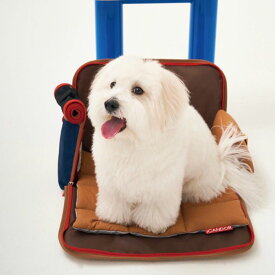 ※予約販売【iCANDOR】i bag オプション（Fluffy Cushion） 韓国 ブランド かわいい おしゃれ プレゼント 小型犬 バッグ キャリーバッグ NEW 中型犬 春 夏 クッション 犬 猫