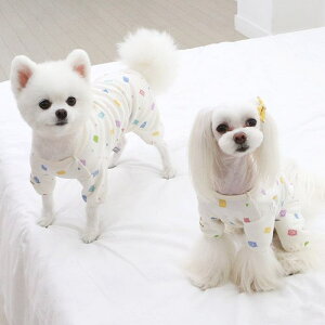 \̔yITS DOGzOrganic Jelly Bear All in one  hbOEFA ̕ ؍ pi hbOObY I[KjbNRbg WF[xA 菑^b` t {^