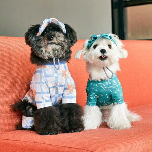 \̔ymunikundzBug Guard All-In-One (Green Garden)  hbOEFA ̕ ^ ^ t  H t ĕ H