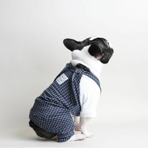 [yoriginalz"EBhEy"TXtI[o[I[ilCr[j ؍ uh 킢  v[g ^ NEW t  H 