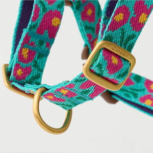 [yiCANDORzNo-Pull HarnessiBIG FISH MINT pi hbOObY n[lX hbOn[lX n[lX pn[lX ؍ Upi UObY ̃n[lX [h