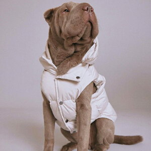 [ymax bonezSUB ZERO WATERPROOF PUFFER VESTiSand Dunej AJ pi hbOObY hbOEFA  ̕ ^ ^ h ~ ~