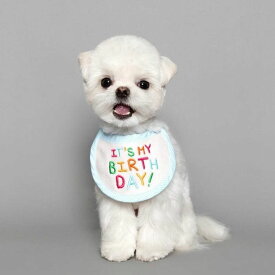 即納【LOVEMORE】IT'S MY BIRTH DAY BIB（Blue） 韓国 ブランド かわいい おしゃれ プレゼント 小型犬 NEW 犬