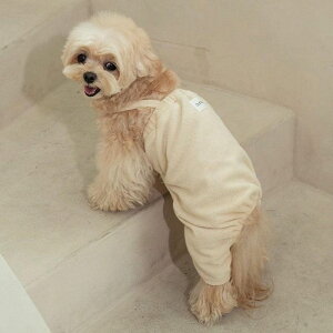 \̔yOUNCEzterry all in oneiIvoryj ؍ pi hbOObY TVc X[uX hbOEFA  ̕ ^ ^