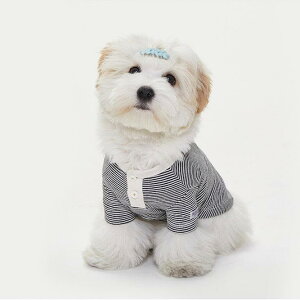 [yBENNYSzw[lbN{[_[gbvXiubNj ؍ uh 킢  v[g ^ NEW t  H