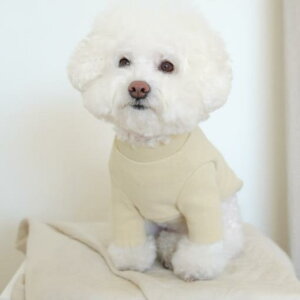 [ycosy cornerzMochi Half neck T-shirtiXCG[j ؍ uh 킢  v[g ^ NEW t H ~