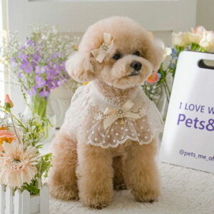 [yPets&MezDot Lace Scarf - 2color pi hbOObY ؍ hbOEFA  ̕ ^ ^  hbOJ[