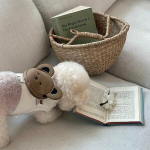 \̔ymeaninglesszBackpack HarnessiGosomijnatural/brown pi hbOObY hbOEFA  ̕ ^ ^ pobO hbOobO ̃obO