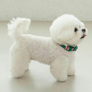 \̔yOUNCEzheart bongbong collariGreenj ؍ pi hbOObY  hbOJ[ ̎  p [h ̃[h