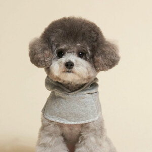 \̔ymeaninglesszFAKE HOODIEiGrayj ؍ uh 킢  v[g ^ |` P[v NEW t H ~ ֗