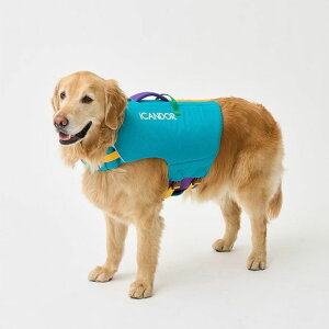 \̔yiCANDORzPawsaver Life JacketiTurquois Bluej pi hbOObY hbOEFA  ̕ ^ ^ CtWPbg ؍ 