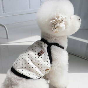 [yDURANG RURANGzDot Teddy Bear TopiCream Blackj  hbOEFA ̕ ^ ^ pi hbOObY TVc X[uX t