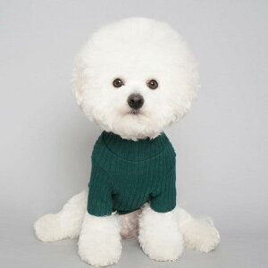 [yDOGI CODIz"_{["OX[uVvgbvXiO[j ؍ uh 킢  v[g ^ NEW t H ~ 