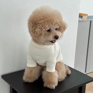 \̔yFREDDIE TALEzCozy cotton T-shirtiIvoryj  hbOEFA ̕ ^ ^ pi hbOObY TVc X[uX h