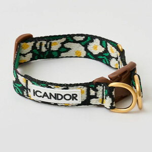 \̔yiCANDORzGentle Collar DualiBIG FISHjS/M pi hbOObY  ̎ hbOJ[  p ؍ Upi UObY n[lX