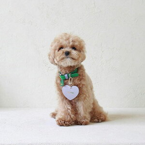 \̔ymaison de miuzBIg Heart Leather Name Tag ؍ uh 킢  v[g ^ obO qD ̎qObY ̎q ^I l[^O UObY NEW  z_[
