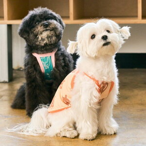 \̔ymunikundzBug Guard-T (Yellow Pretzel)  hbOEFA ^ ^ ^ ^ ^ ^ t  H