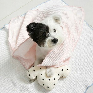 \̔yazalleazSoft Waffle Blanket {㗤 uPbg }bg pi hbOObY y ֗ NbV ybgNbV p}bg