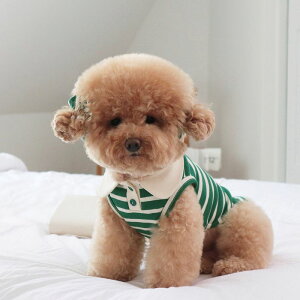 [yDURANG RURANGzBubble Gum Polo SleevelessiGreenj  hbOEFA ̕ X[uX pi hbOObY ؍ ^ ^ 