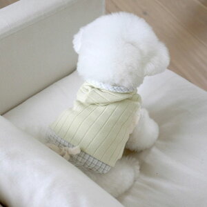 \̔ynear by uszEveryday Check HoodyiPistachioj hbOEFA ̕ X[uX pi hbOObY ؍ ^ ^ t