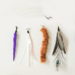 \̔yBITE MEzCat Fishing Toy Refill SetiBasicj ؍ uh 킢  v[g ^  L NEW L