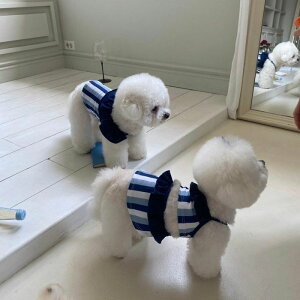 \̔yHi YeboozSwimwear CollectioniStripej ؍ uh 킢  v[g ^  NEW 