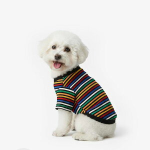 \̔yTUSTUSzColor stripe teeiBlackj  hbOEFA ̕ TVc X[uX pi hbOObY ؍ ^ ^